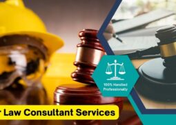 Labour Law Consultant Services