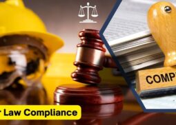 Labour Law Compliance