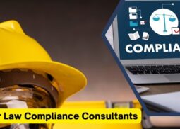 Labour Law Compliance Consultants